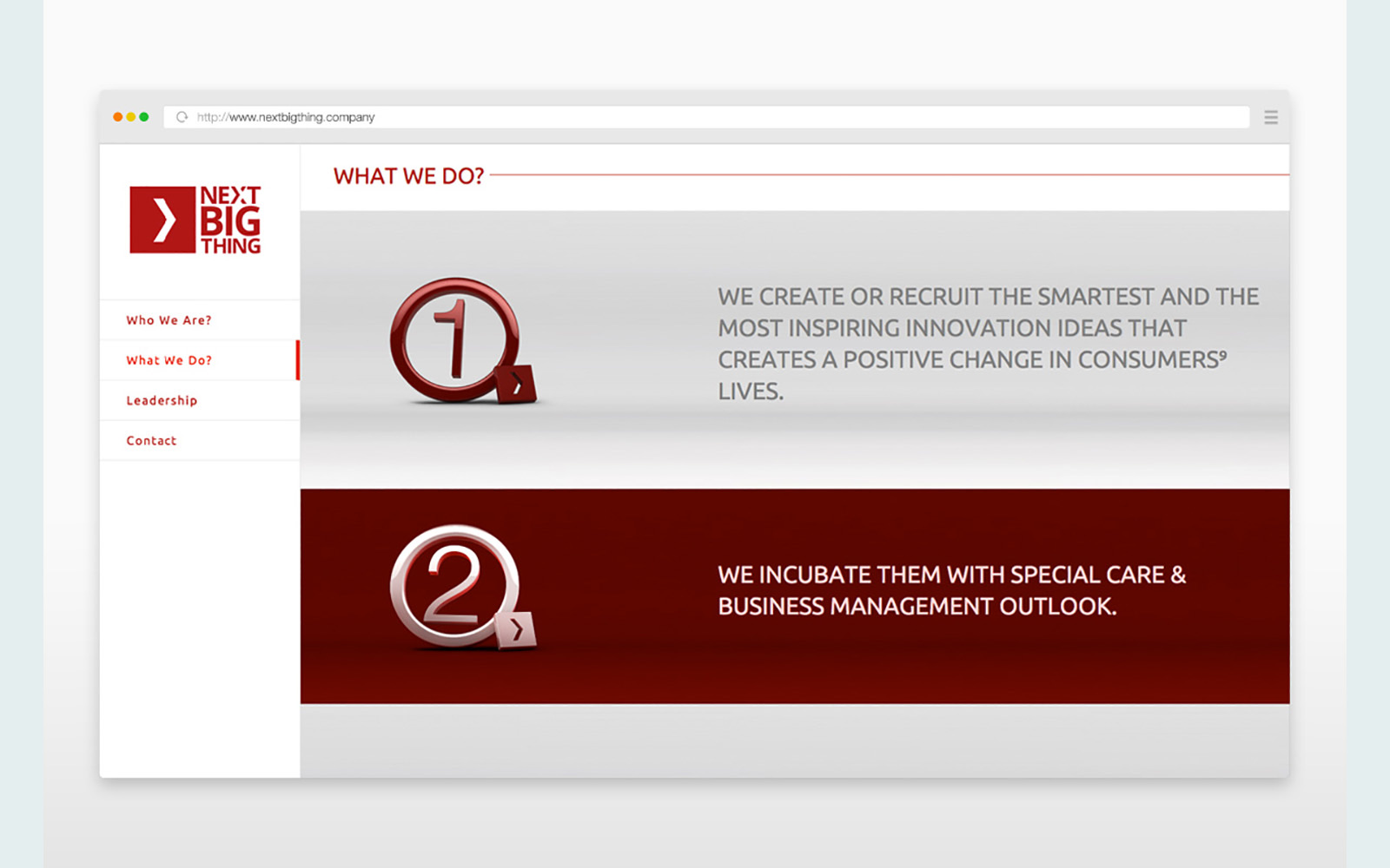 The What we do page with numbered red panels